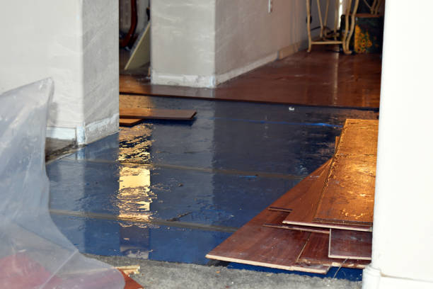 Professional Structural Drying technician working in Leopolis, WI
